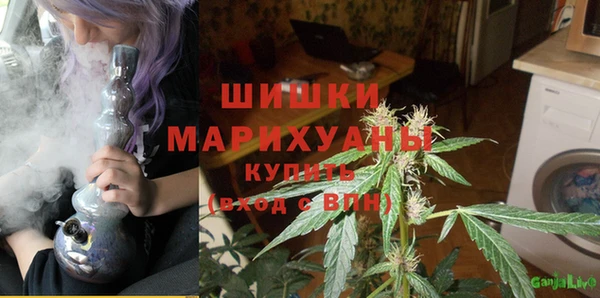 спиды Верея